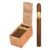 BOX OF 25