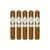 PACK OF 5