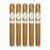 PACK OF 5