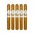 PACK OF 5