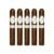 PACK OF 5