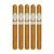 PACK OF 5