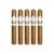 PACK OF 5