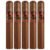 PACK OF 5