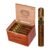 BOX OF 20