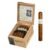 BOX OF 24