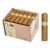 BOX OF 24