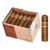 BOX OF 24