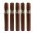PACK OF 5