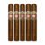 PACK OF 5