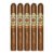 PACK OF 5