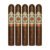 PACK OF 5