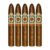 PACK OF 5