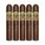 PACK OF 5