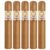 PACK OF 5