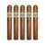 PACK OF 5