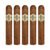 PACK OF 5