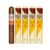 PACK OF 5