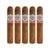 PACK OF 5