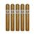 PACK OF 5