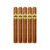 PACK OF 5