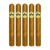 PACK OF 5