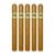 PACK OF 5