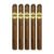 PACK OF 5