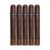 PACK OF 5