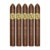 PACK OF 5