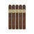 PACK OF 5