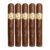 PACK OF 5