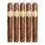 PACK OF 5