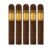PACK OF 5