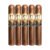 PACK OF 5