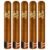 PACK OF 5