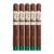PACK OF 5