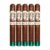 PACK OF 5