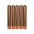 PACK OF 5