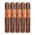 PACK OF 5