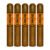 PACK OF 5