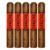 PACK OF 5