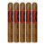 PACK OF 5