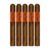 PACK OF 5