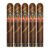 PACK OF 5