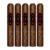 PACK OF 5