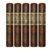 PACK OF 5
