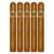 PACK OF 5