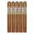 PACK OF 5