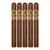 PACK OF 5